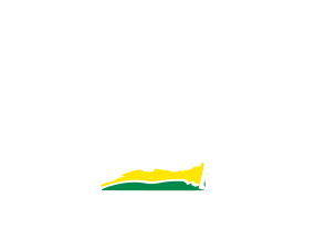 logo da Brasil Ride