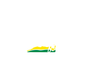 logo da Brasil Ride